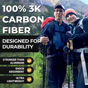 Hiker Hunger Carbon Fiber Trekking Pole image