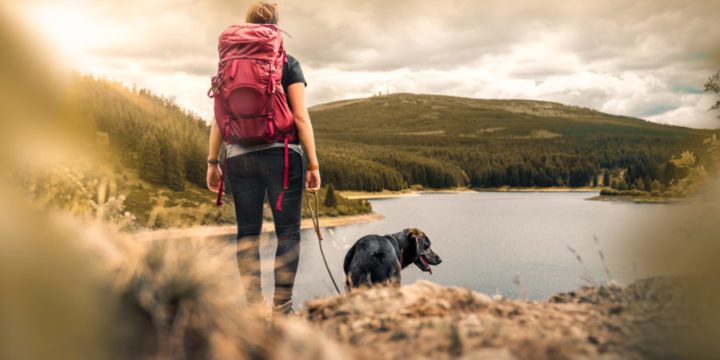 Should You Take Your Dog On A Day Hike?