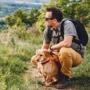 Your Dog On A Day Hike image